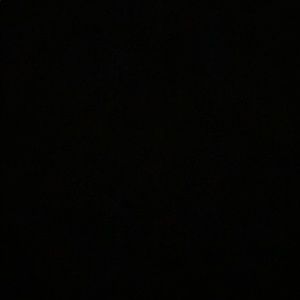 Meet your Posher, Sydney